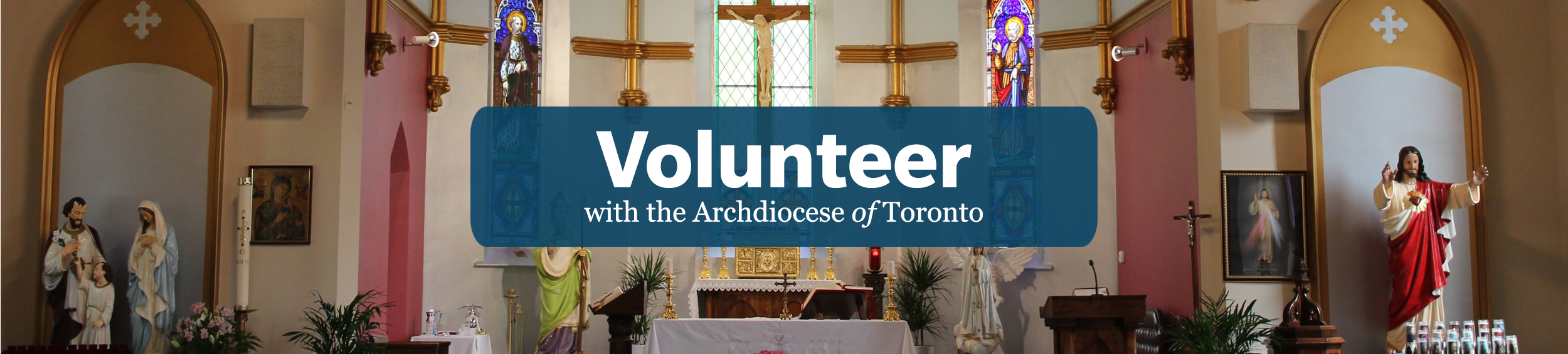 Volunteer Screening